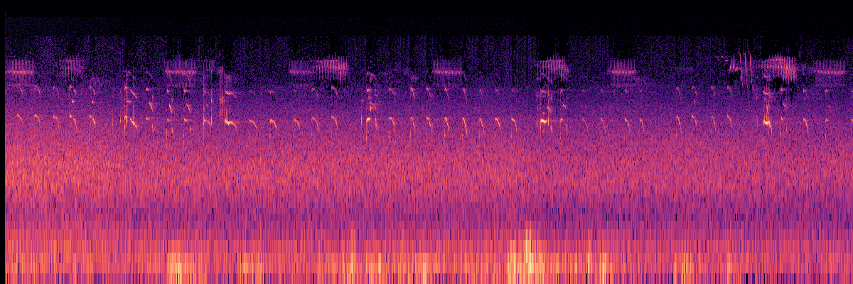 Spectrogram: Mew Gull With Chorus Background
